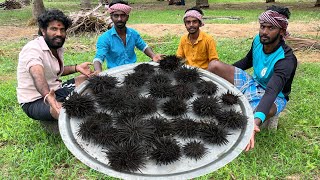 SEA URCHIN  Village Healthy Sea Foodsea urchin cooking in time pass cookingyummy food seaurchin [upl. by Acitel]