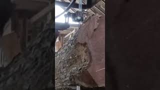 wood cutting wood woodworking woodwork [upl. by Assisi281]