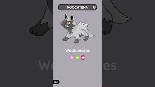 Poochyena The Bite Pokémon  Poképedia Gen 3 [upl. by Nojel]