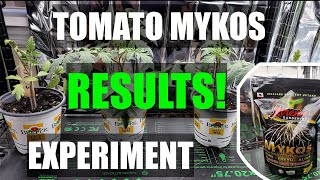 Tomato Mykos Experiment Mycorrhizal Fungi RESULTS Adv19 [upl. by Osman]