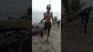 Spearfishing tradisional DanauToba mancingdidanautoba fishing spearfishingindonesia fypシ゚viral [upl. by Neely]