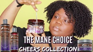 The Mane Choice  CHEERS Collection [upl. by Euqinad]