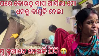 Mu kn karibi kichi Bujhi paruni 😭 Soumya muni shorts  muni Soumya official  Odia vlogsupport [upl. by Nims]