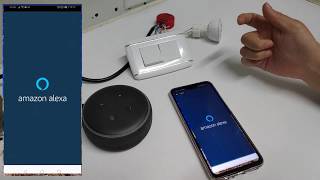 SHELLY 1PM ¿Cómo agregar un dispositivo Shelly en Amazon Alexa [upl. by Ybok]