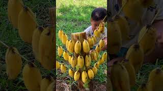 Survival skills Baby finding banana life shortvideo [upl. by Eladnek]