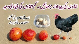 Hens not Laying   How to increase Chicken Productivity  Poultry Body Systems  Dr ARSHAD [upl. by Whitebook]