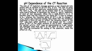 Chymotrypsin Reaction Mechanism  Acylenzyme intermediate  pH dependence of the CT reaction [upl. by Kceb]