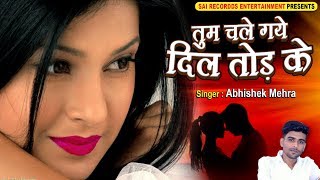 दिल तोड़ के  Tum Chale Gaye Dil Tod Ke  Hindi Sad Songs  PYAR MOHABBAT BEWAFA का सबसे दर्द भरा गीत [upl. by Dalia]