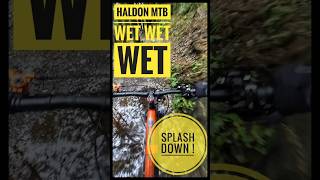 Wet Wet Wet Haldon Forest MTB [upl. by Rice]