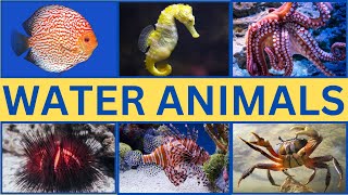 Water Animals Around the World  Water Animals for Kids [upl. by Sublett493]