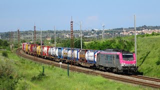 Trains in France TGV Fast trains Freight and TER SNCF DB RENFE AVE LINEAS Occitanie FR [upl. by Asenad]