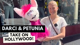 Darci amp Petunia Take on Hollywood  Darci Lynne [upl. by Lyndes142]