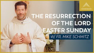 Easter Sunday The Resurrection of the Lord  Mass with Fr Mike Schmitz [upl. by Miran]