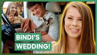 Bindi Irwin’s Wedding At Australia Zoo  Crikey Its The Irwins [upl. by Vtarj691]