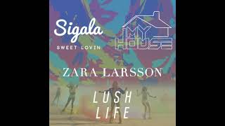 Sweet Lovin x Lush Life x My House Mashup Sigala x Zara Larsson x Flo Rida [upl. by Goebel]