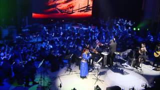 The Dark Knight  Hans Zimmer J Newton Howard  LIVE [upl. by Mitchiner]