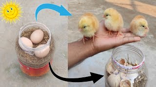 How to hatch eggs at home without incubator  Incubator plastic box help sunlight 100 result [upl. by Enrica]