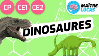 Les dinosaures  CP  CE1  CE2  Cycle 2  Questionner le monde  Sciences [upl. by Mindy]