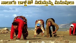 ఆదిమానవుల్లా 4 కాళ్లతో నడుస్తున్న మనుషులుTurkish Family Walking On All Fours Baffles Scientists [upl. by Walther]