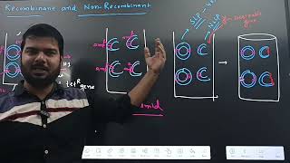 RECOMBINANTNON RECOMBINANTTRANSFORMANTNON TRANSFORMANTBIOTECHONOGY CLASS12NEET [upl. by Erhard]