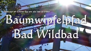 Baumwipfelpfad BAD WILDBAD [upl. by Blayze264]