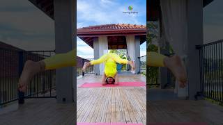 Sirsasana variation yogapose shortvideo yogaurmi shorts youtubeshorts ytshorts yoga asana [upl. by Naimaj]