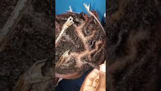 Hairstyles youtubeshorts tutorial pique coiffure haitiantiktok braid coiffureadomicile hair [upl. by Eirallih488]