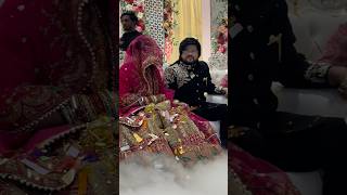 Ishaan bhai or bhabhi ki grand entry ishaanali  wedding shortvideo [upl. by Giah]