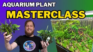 Be successful start your aquarium plants right All the things you should do to prep your plants [upl. by Ezirtaeb161]