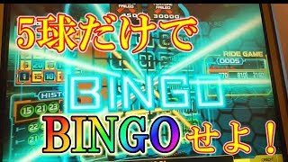 5球だけのビンゴゲームでメダル1000枚を倍増できるか？（前編） [upl. by Whiting]