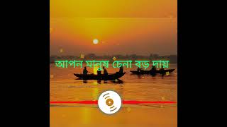 Apon Manush Chena Boro Daay  CoverMarjan [upl. by Michey]