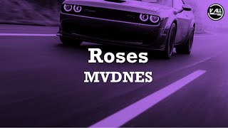 MVDNES  Roses  Lyrics [upl. by Hannover399]