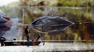 Bass Fishing crazy session after the camera guy left [upl. by Anaili]