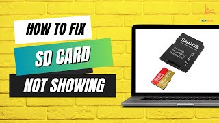 How to Fix All Problem of SD Card Not Showing Not Working Need to Format Disk in Windows PC [upl. by Ahsiuqet214]