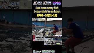 EP8610 0116 1小時14隻另有大金目鱸拉爽爽 金目鱸 海釣場 大湖海釣場 Barramundi LatesCalcarifer Fishing [upl. by Lelia]