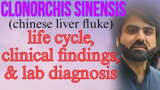 Lec21  Clonorchis sinensis  life cycle  clinical findings  lab diagnosis  UrduHindi [upl. by Ttocserp]