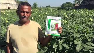 F1hyBhindi Aaravxi  Agromark Haybrid Seeds  okra Seeds  New Farmar Video [upl. by Stelu]