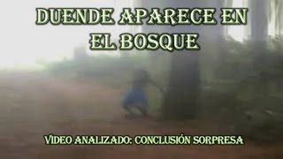 DUENDE APARECE EN EL BOSQUE [upl. by Seilenna]