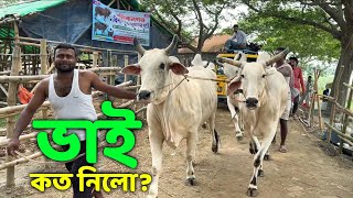 Bhai Koto Nilo Paragram Hozrotpur Gorur Haat 2024  Part 10  Qurbani Cow Price in Bangladesh [upl. by Edla908]