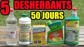 5 DESHERBANTS TEST VINAIGRE BLANC LIDL ROUNDUP SOLABIOL CLAIRLAND NEUDORFF GROS SEL [upl. by Lihkin]