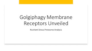 quotGolgiphagy Membrane Receptors Unveiled Nutrient Stress Proteome Analysisquot [upl. by Risa]