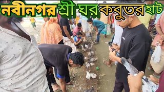 ব্রাহ্মণবাড়িয়া নবীনগর শ্রীগড় কবুতরের হাট এই হাঁটে বেশি বিদেশি সব ধরনের কবুতর পাবেন। প্রতি শনিবার [upl. by Llyrad794]