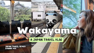 From Osaka to WAKAYAMA  1Day Itinerary Japans countryside cat train station themed trains [upl. by Lexy712]