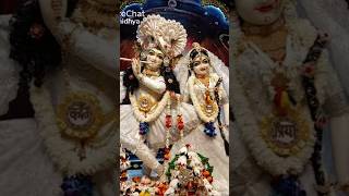 Mero Mann Vrindavan Mein Atkodevotioanlsongs krishnajisong bhaktishorts kanhaji vrialshort [upl. by Adnovad164]