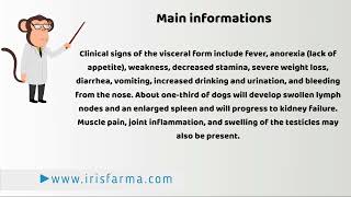 Leishmaniasis what it is prevention and therapy [upl. by Amahs]