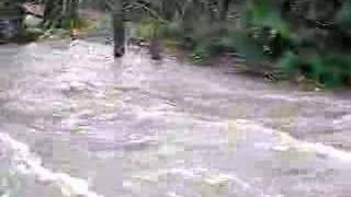 Issaquah CreekBig Flood [upl. by Nevil605]