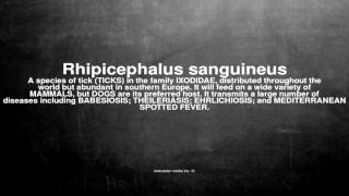 Medical vocabulary What does Rhipicephalus sanguineus mean [upl. by Yesac200]