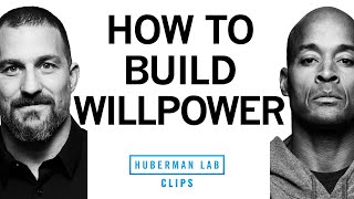 How to Build Willpower  David Goggins amp Dr Andrew Huberman [upl. by Ajar731]