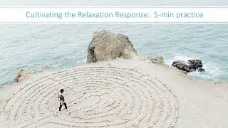 5 min Guided Relaxation Practice [upl. by Aicitan348]