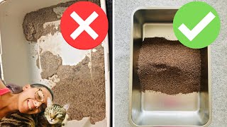 Cat litter box hacks that will save your life [upl. by Inaflahk325]